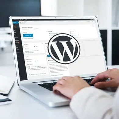 外貿企業用Wordpress建站的優勢